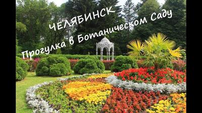 Что посмотреть в Ботаническом саду Челябинского госуниверситета 9 июля 2019  г - 9 июля 2019 - 74.ру