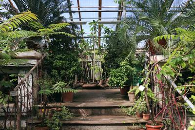 Ботанический сад | Абитуриент ЧелГУ