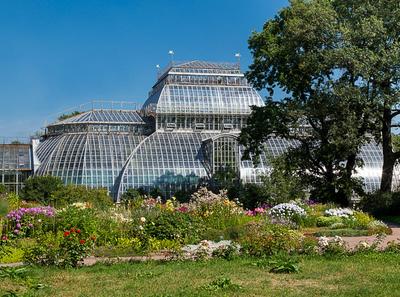 Ботанический сад ЧелГУ станет лицом главного корпуса межуниверситетского  кампуса