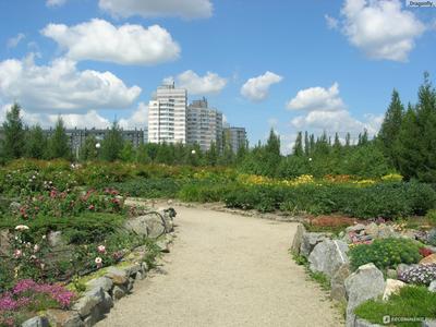 В ботаническом саду Челябинска с влюбленных требуют плату за фотосессию -  KP.RU