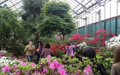 Гости со всего мира. В ботаническом саду - время пышного цветения |  ОБЩЕСТВО | АиФ Владивосток