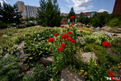 Ботанический сад ЧелГУ, Челябинск - «Уголок природы среди каменных  джунглей. Удивительное, прекрасное место» | отзывы