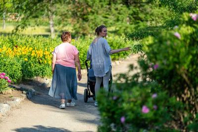 В Челябинске решили ограничить вход в ботанический сад госуниверситета | ИА  Красная Весна