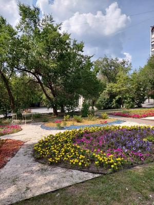 Ботанический сад Петра Великого расскажет о растениях-«иммигрантах» |  Sobaka.ru
