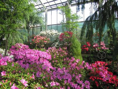 Ботанический сад, Екатеринбург: лучшие советы перед посещением - Tripadvisor