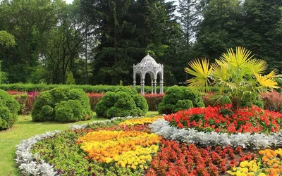 Ботанический сад Минск фото