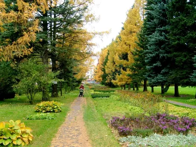 В Лиде создадут ботанический сад с 700-метровой оранжереей