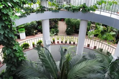 Посещение Ботанического сада и оранжереи для двоих всего за 6 руб. от  Slivki.by