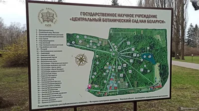 Входит в десятку крупнейших в Европе: 12 фактов о ботаническом саде,  которому исполнилось 90 лет - Минск-новости