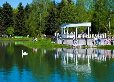 Центральный ботанический сад, Парки и заповедники, Достопримечательности,  Отдых и путешествия в Беларуси - YesBelarus.com
