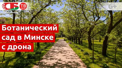 Ботанический сад в Минске - фото и видео достопримечательности Беларуси  (Белоруссии)