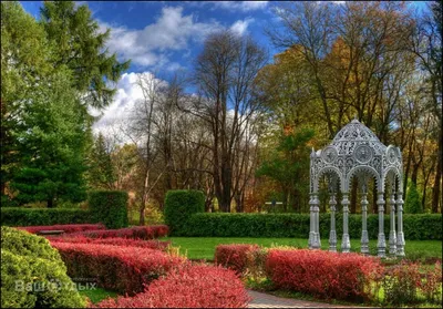 File:Ботанический сад, Минск - panoramio (10).jpg - Wikimedia Commons