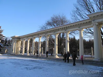 Центральный Ботанический сад в Минске: цена входных билетов, мероприятия,  время работы, официальный сайт