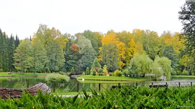 Осень. Ботанический сад. Минск :: Gennadiy Karasev – Социальная сеть ФотоКто