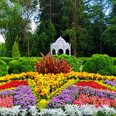 File:Minsk Botanical Garden.jpg - Wikimedia Commons