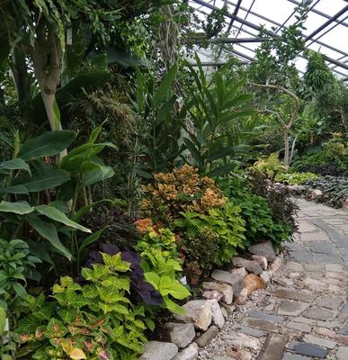 Ботанический сад сделают более доступным для нижегородцев | АиФ – Нижний  Новгород | Дзен