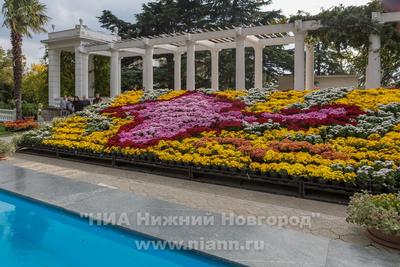 Экскурсия в Ботанический сад – Коммерсантъ Новосибирск