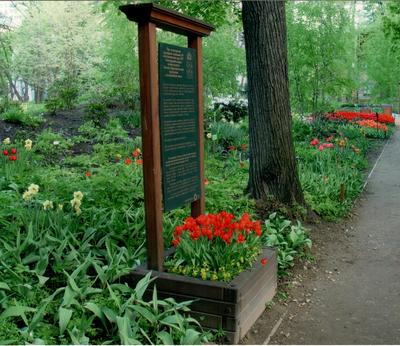 Ботанический сад ННГУ сделают более доступным для жителей Нижнего Новгорода  23 мая 2023 года | Нижегородская правда