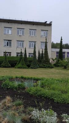 Ботанический сад (Новосибирск): фото и отзывы — НГС.ТУРИЗМ