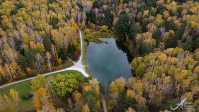 Ботанический сад (Новосибирск): фото и отзывы — НГС.ТУРИЗМ