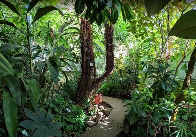 Ботанический сад в Самаре – режим работы, сайт, цена, фото, адрес, как  доехать, отзывы | Туристер.Ру