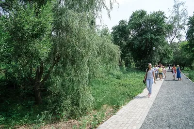 В Самаре после реконструкции открыли Ботанический сад: как попасть на  экскурсию, время работы, цена билетов, - KP.RU