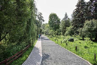 В Самаре открылся Ботанический сад – Коммерсантъ Самара