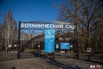 График работы Ботанического сада в Самаре 2021 год - 25 апреля 2021 - 63.ру
