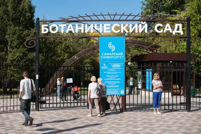 Ботанический сад вновь откроется в Самаре 21 апреля 2023 года - KP.RU