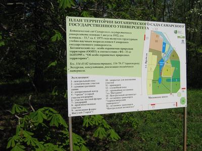 File:Botanical garden of Samara State University 2.JPG - Wikimedia Commons