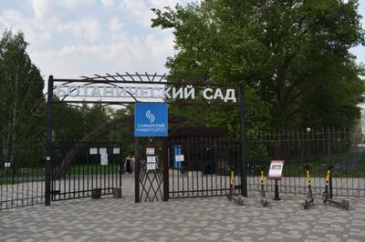 Ботанический сад Самарского государственного университета ( СамГУ), Самара  - «Оазис прямо посреди города» | отзывы