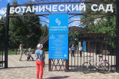 Ботанический сад в Самаре будет открыт круглый год | ОБЩЕСТВО | АиФ Самара