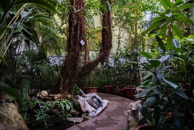 Ботанический сад | Пикабу