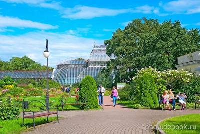 Ботанический сад Петра I в Санкт-Петербурге, Питере, СПБ