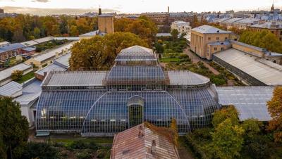 Ботанический Сад Петра Великого. Санкт-Петербург. Peter the Great Botanical  Garden. May 2021. - YouTube