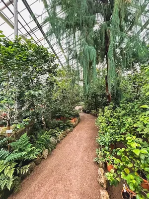 Ботанический сад Санкт-Петербурга — подробное описание, адрес и фото