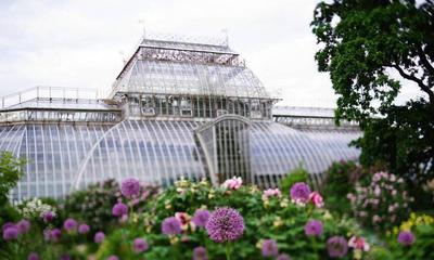 Японский сад, Ботанический сад Петра Великого | Пикабу