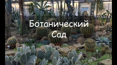 Ботанический сад в Санкт-Петербурге - triptospb