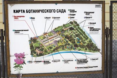 Интересные факты о Ботаническом саде Петра Великого в Санкт-Петербурге и  чем он меня впечатлил | 🌿Школа садоводов ▷ Марии В. | Дзен
