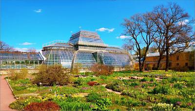 Ботанический сад Петра Великого: описание, адрес, время и режим работы 2024