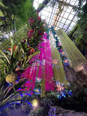 Со вторника в Ботаническом саду двери для посетителей откроет Водная  оранжерея | Телеканал Санкт-Петербург