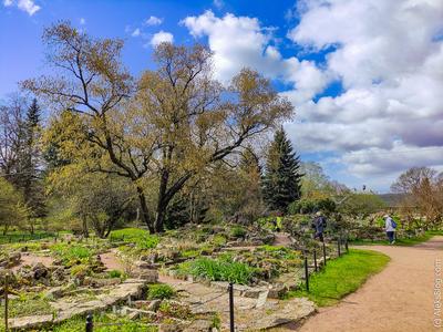 Ботанический сад, экскурсия по «Тропическому маршруту» — Alex's page