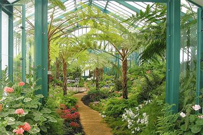 Ботанический сад Петра Великого приглашает посетить оранжереи по льготной  цене