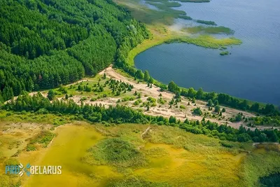 Отпуск на родине. Как Браславские озера заменили Затоку и чего не хватает  одному из лучших курортов - Спорт и туризм Городокского района