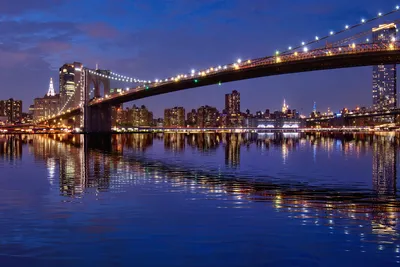 The Most Interesting Fact About the Brooklyn Bridge That You Didn't Know |  Architectural Digest