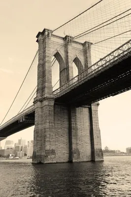 Бруклинский мост в черно-белом | Премиум Фото