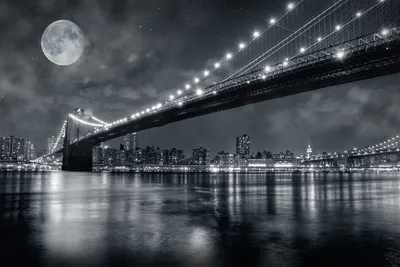 Фотообои Ночной Бруклинский мост. Каталог: Черно-белые. №13244 | ABC-Decor