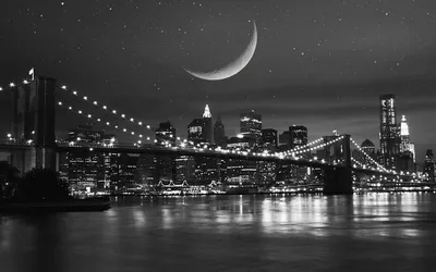 Бруклинский мост, Нью-Йорк, Нью-Йорк - Библиотека Конгресса Поиск в мировом  общественном достоянии