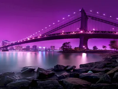Фотообои Бруклинский мост 294*260 – купить в Туле | Гипермаркет Чипак