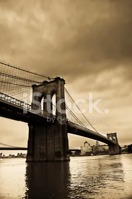 Вид На Бруклинский Мост С Главной Улицы Парка В Бруклине И Горизонт  Манхэттена — стоковые фотографии и другие картинки Архитектура - iStock